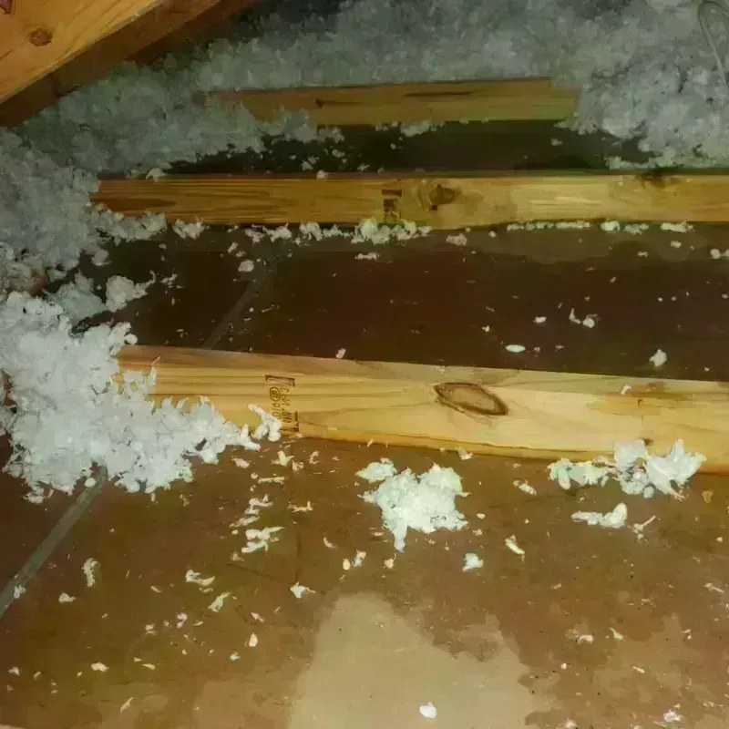 Attic Water Damage in Bowdon, GA